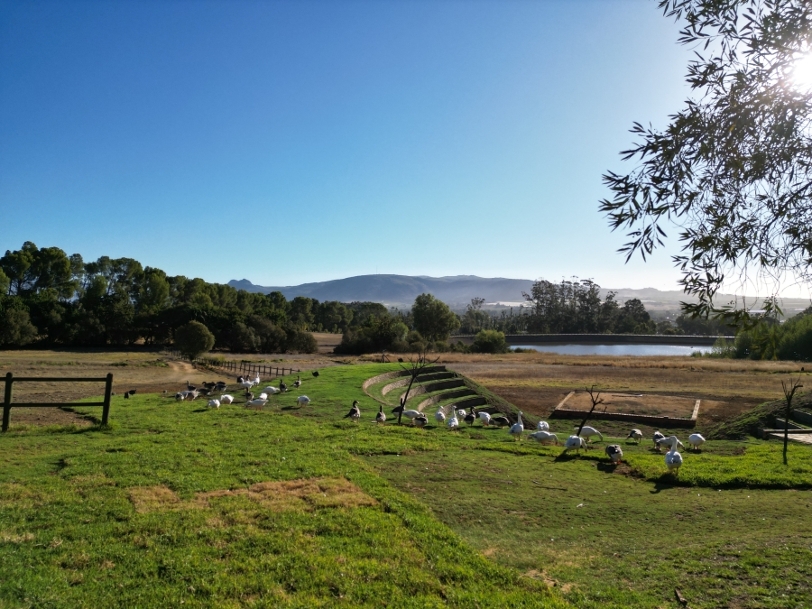 3 Bedroom Property for Sale in Diemersfontein Wine and Country Estate Western Cape